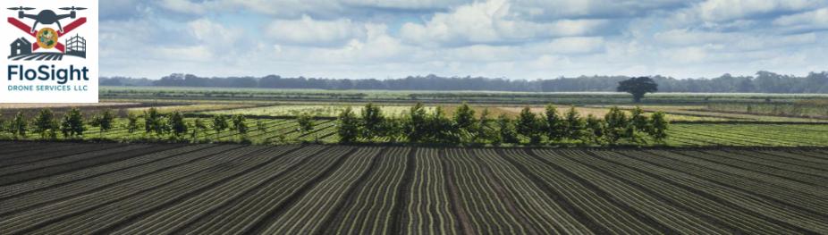 A photo of a Florida agricultural field with the FloSight logo
